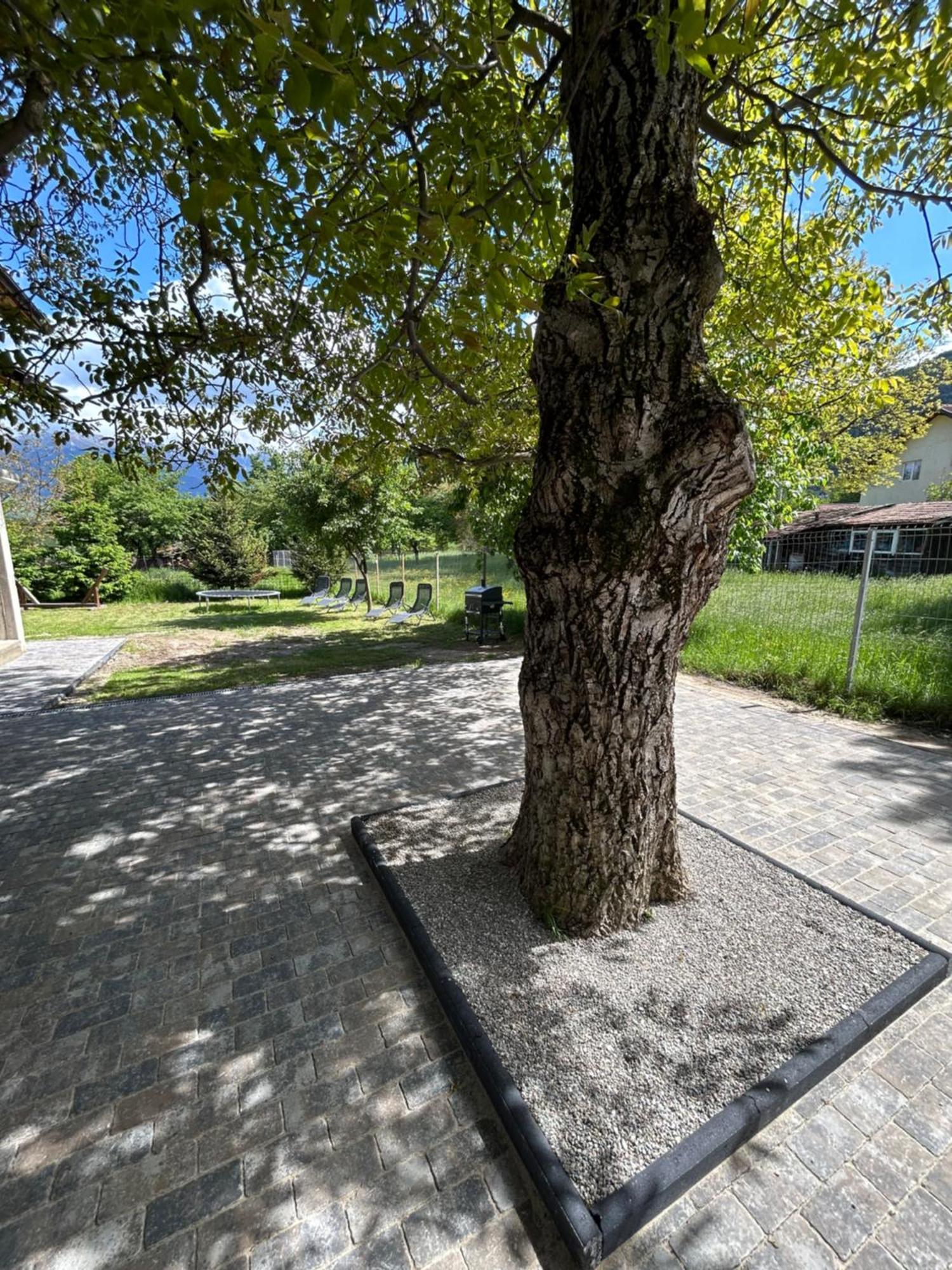 Vila Casa Luca Ama Bran Bran  Exteriér fotografie