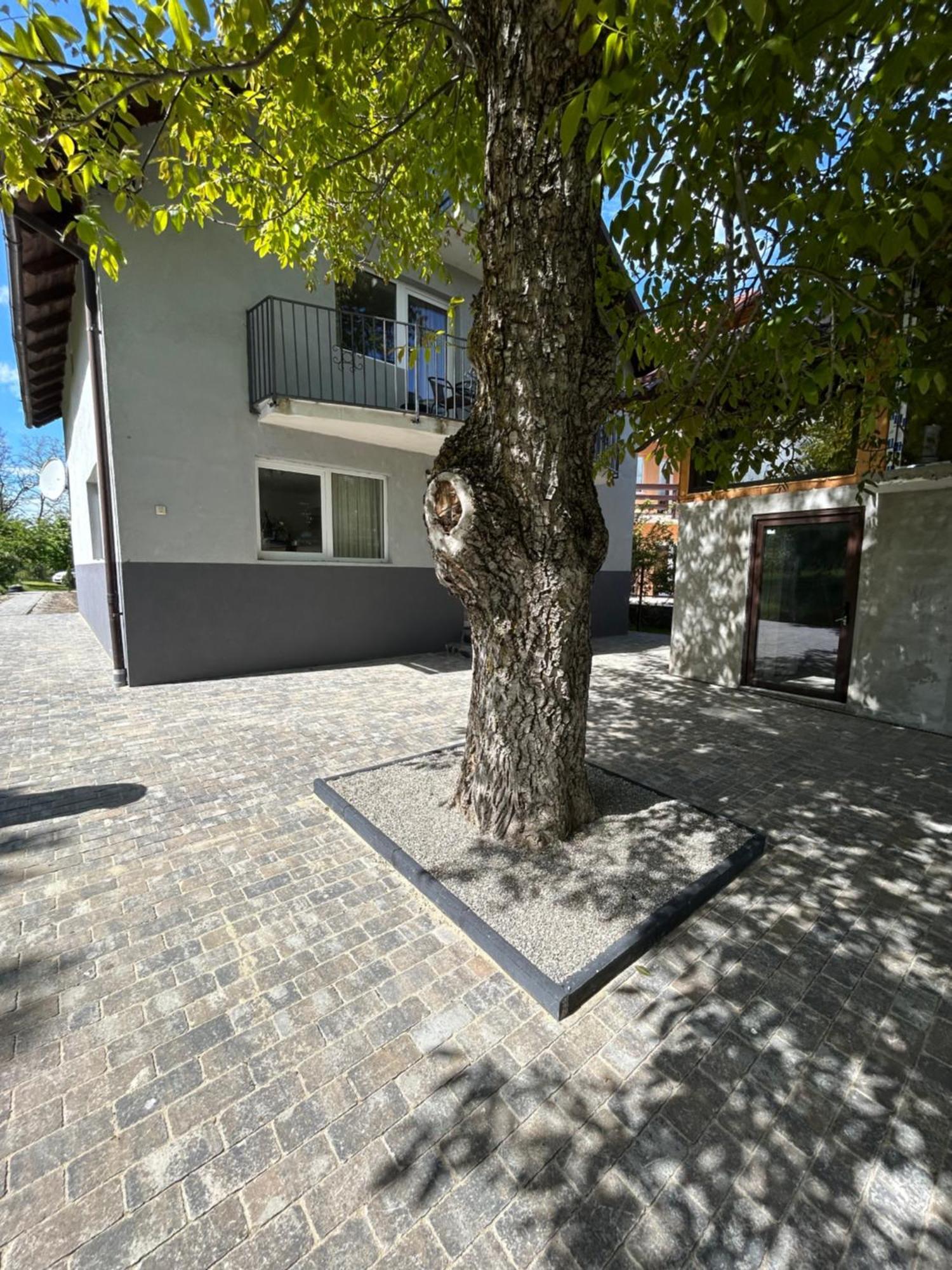 Vila Casa Luca Ama Bran Bran  Exteriér fotografie