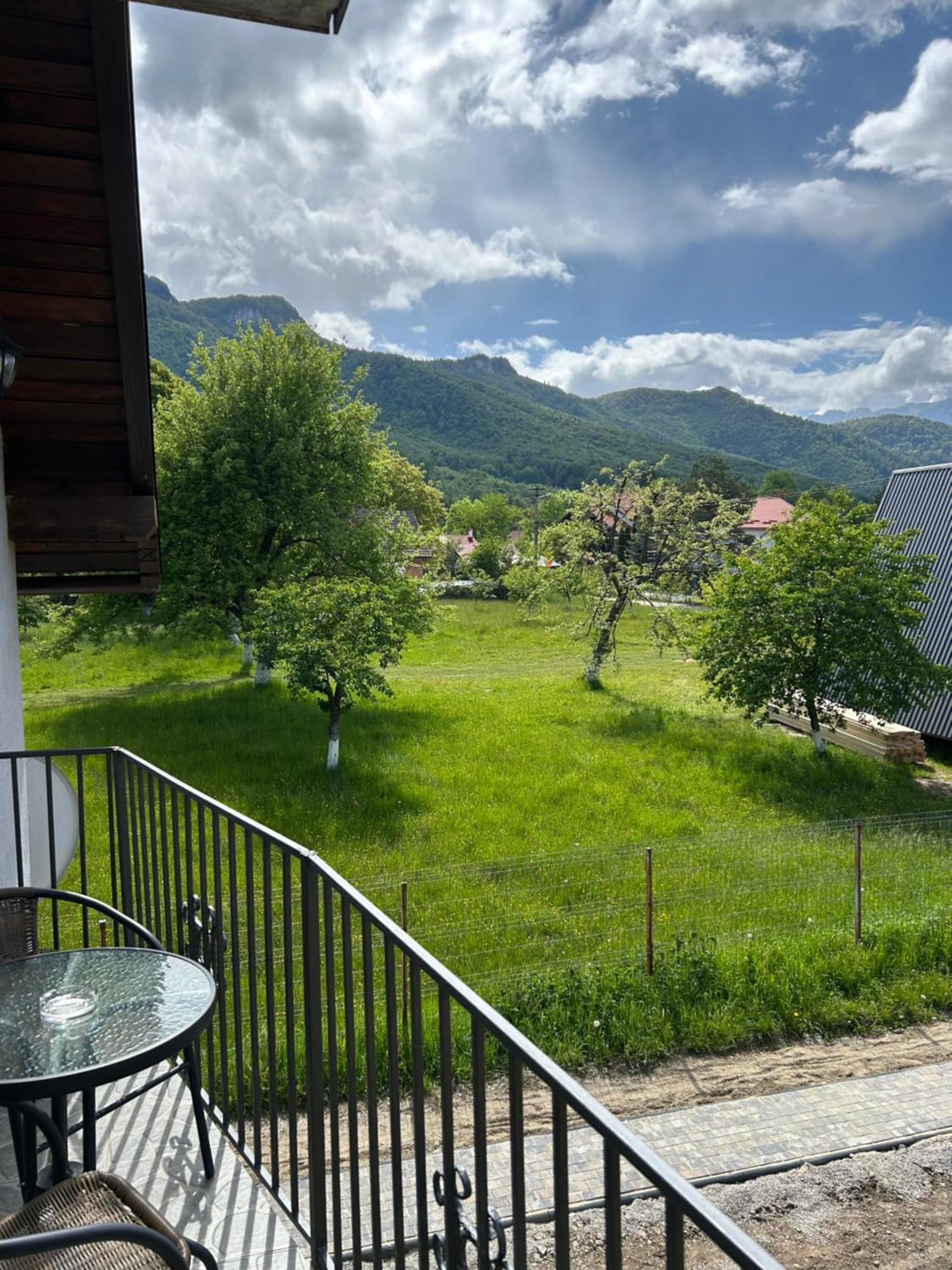 Vila Casa Luca Ama Bran Bran  Exteriér fotografie